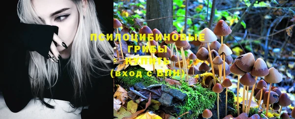 ПСИЛОЦИБИНОВЫЕ ГРИБЫ Балахна