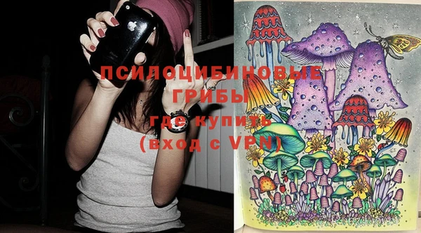 ПСИЛОЦИБИНОВЫЕ ГРИБЫ Балахна