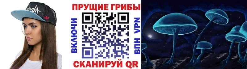 Галлюциногенные грибы Psilocybe  это какой сайт  Красный Кут 